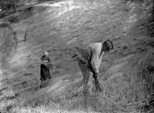 Fotograma del documental "Sueños colectivos&quot